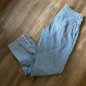Everlane Cheeky Jeans